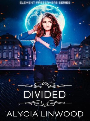 cover image of Divided